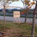 몽블리 애견카페 | [아라뱃길 카페] 갤러리 더 네이처, 밤에 가야 더 예쁜 곳