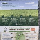 홍윤베이커리익산