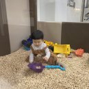키즈몽사수점 이미지