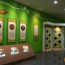 나비공원1(자연교육센터) 이미지