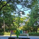 석촌호수 서호(카페 앞) | [석촌동 카페] 귀여운 거북이 가족이 있는 석촌호수 카페 슬로우어스 방문후기