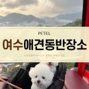 코코애견 | 여수 유탑마리나 오동재 가까운 애견동반 장소 모음