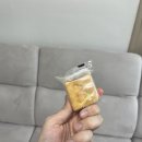 유달 이미지