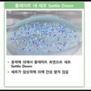 나무시스템즈