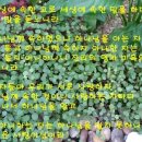 핍박 받아온 하나님의 잃어버린 세계를 찾아서 이미지