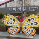 나비정원 이미지