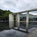 제주도립미술관 | 제주도립미술관 마르크 샤갈 전시회 후기