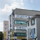 어화둥둥 | 야탑 막회 맛집 어화둥둥 후기