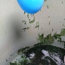 창원물탱크청소 비용 이 조건만 확인해도 절약됩니다