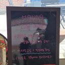 마우나커피 | 마우나커피(애견동반)방문후기❤️