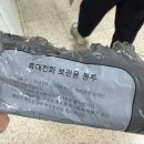 강명중학교 | 26년도 제1회 JLPT N3 시험 후기 | 가채점 희망편, 벼락치기, 난이도