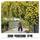 목향지점 | 창원 목향장미 주남저수지 근처 주택