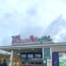 동물들의세상 | 아이들과 함께 가평 베고니아새정원 방문 후기! (feat. 동물 먹이주기 &amp; 신비로운 새들의 세상)