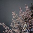 달봉이회수산 이미지