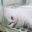 계족산로52번길 이미지