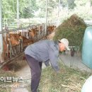 태인한우농장 이미지