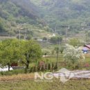 임실이도주공아파트 이미지