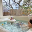 멍쿠실낭 이미지