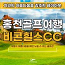 비콘힐스 골프클럽 | 홍천골프장추천 비콘힐스CC 각양각색 사계절을 담아 인생샷 가능