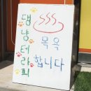 댕냥테라피 이미지