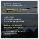 당촌리카메 이미지