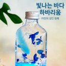 바다를 담은 석고방향제 이미지