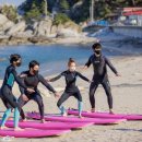 솔게스트하우스 양양서핑점 이미지