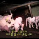 이윤축산 이미지