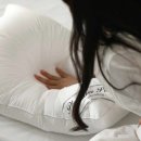 베네호텔 이미지