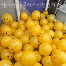 홈플러스인천챔피언