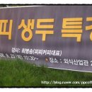 체리피피 이미지