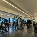 뭉트니스 이미지