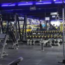 아레나 피트니스 이미지