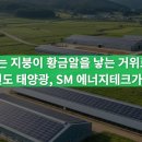 윈테크 태양광발전소 | 지붕이 황금알을 낳는 거위로? 🐔2026년 전국 태양광, SM 에너지테크가 답이다!✨(이재명정부태양광최신화)