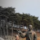 새조개회쎈타 Daum카페