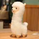 복실복실 이미지