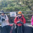 관악산 무장애숲길 이미지