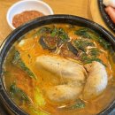 합정한식맛집 지호한방삼계탕 합정점 후기 능이한방삼계탕 마라한방삼계탕 맛집