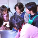 보림제다 이미지