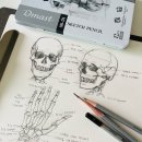 디.델리 이미지