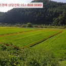 금곡3리마을회관 이미지