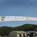 갈전농장 Daum카페