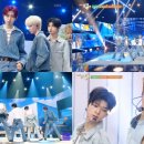 뮤직뱅크 스포츠경향