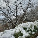 감사교육원 이미지