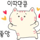 뜰안에냥 이미지