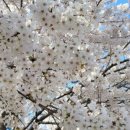 지에스25 천안원성천점 이미지