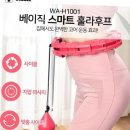 H1001 이미지