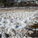 버들골천 이미지