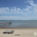 국립천관산자연휴양림 티스토리