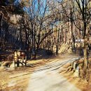 송림길삼거리 이미지